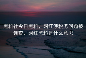 黑料社今日黑料，网红涉税务问题被调查，网红黑料是什么意思