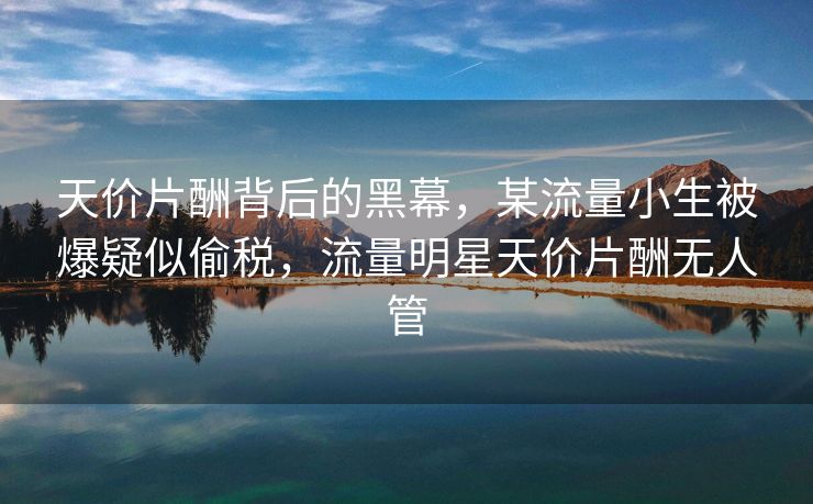 天价片酬背后的黑幕,某流量小生被爆疑似偷税,流量明星天价片酬无人管 天价片酬背后的黑幕,某流量小生被爆疑似偷税,流量明星天价片酬无人管